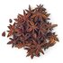 The picture shows many star anise.